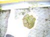 BILD0554.JPG