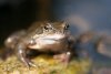 IMG_8394 Kopie.jpg