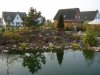 Frühling1.JPG