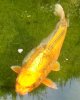 Dsc08216.jpg