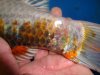 DSC00574.JPG