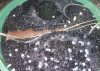 100_2346.JPG