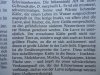 Gelbrandkäfer 002.jpg