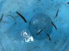3C80E5E2-B249-4D59-AAEC-76BBC618A292.jpeg