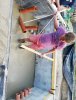 IMG-20180719-WA0011.jpg