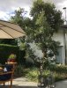 IMG_2683 Kopie.jpg