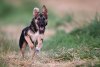 20120803_01 Kopie.jpg