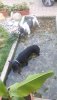 20180801_183658.jpg