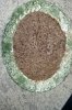 20170607_104504.jpg