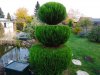 Gartenbonsai  8.11.18 006.jpg