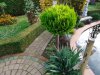 Gartenbonsai  8.11.18 001.jpg