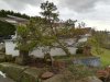 IMG_20190127_094235.JPG
