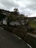IMG_20190127_094220.JPG