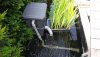 20160610_094659.JPG