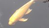 20190426_195538.jpg