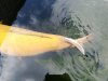 IMG_20190512_105121.jpg