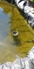 20190518_141604.jpg