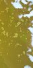20190518_141637.jpg