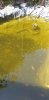 20190518_141629.jpg
