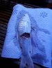 IMG-20190525-WA0016.jpg