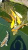 Screenshot_20190527-162229_Gallery.jpg