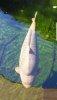 Screenshot_20190527-220924_Gallery.jpg