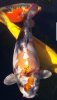 Screenshot_20190527-195512_Gallery.jpg