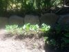 20190603_123911.jpg