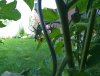 20190607_164909.jpg