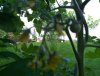 20190607_164921.jpg