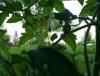 20190607_164930.jpg