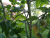 20190607_164950.jpg