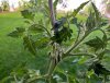 20190607_165045.jpg