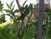20190607_165437.jpg