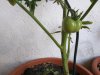 20190607_164855.jpg