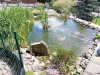 IMG_20190608_113536.jpg