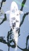 Screenshot_20190602-174046_Gallery.jpg