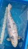Screenshot_20190615-100720_Gallery.jpg