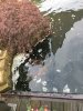 02060380-9775-4C9D-86BE-B32E94A80E61.jpeg