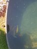 20190630_133737.jpg