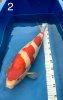 fullsizeoutput_1721.jpeg