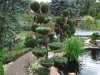 Gartenbonsai 10.7.19 006.jpg