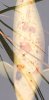 Screenshot_20190710-195926_Gallery.jpg