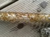 20160418_170928.jpg