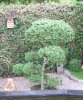 3DSCF0003.JPG