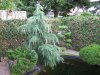 4DSCF0002.JPG