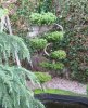 5DSCF0002.JPG