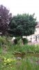 20190729_104302.jpg