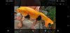 Screenshot_20190808-145538_Gallery.jpg