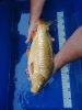 IMG_20190805_182250.jpg